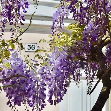 Wisteria Bed & Breakfast Fontainebleau Exterior photo