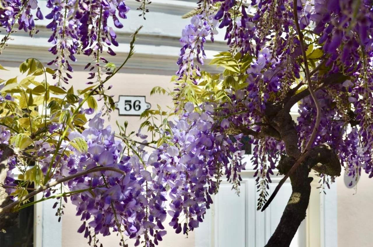 Wisteria Bed & Breakfast Fontainebleau Exterior photo