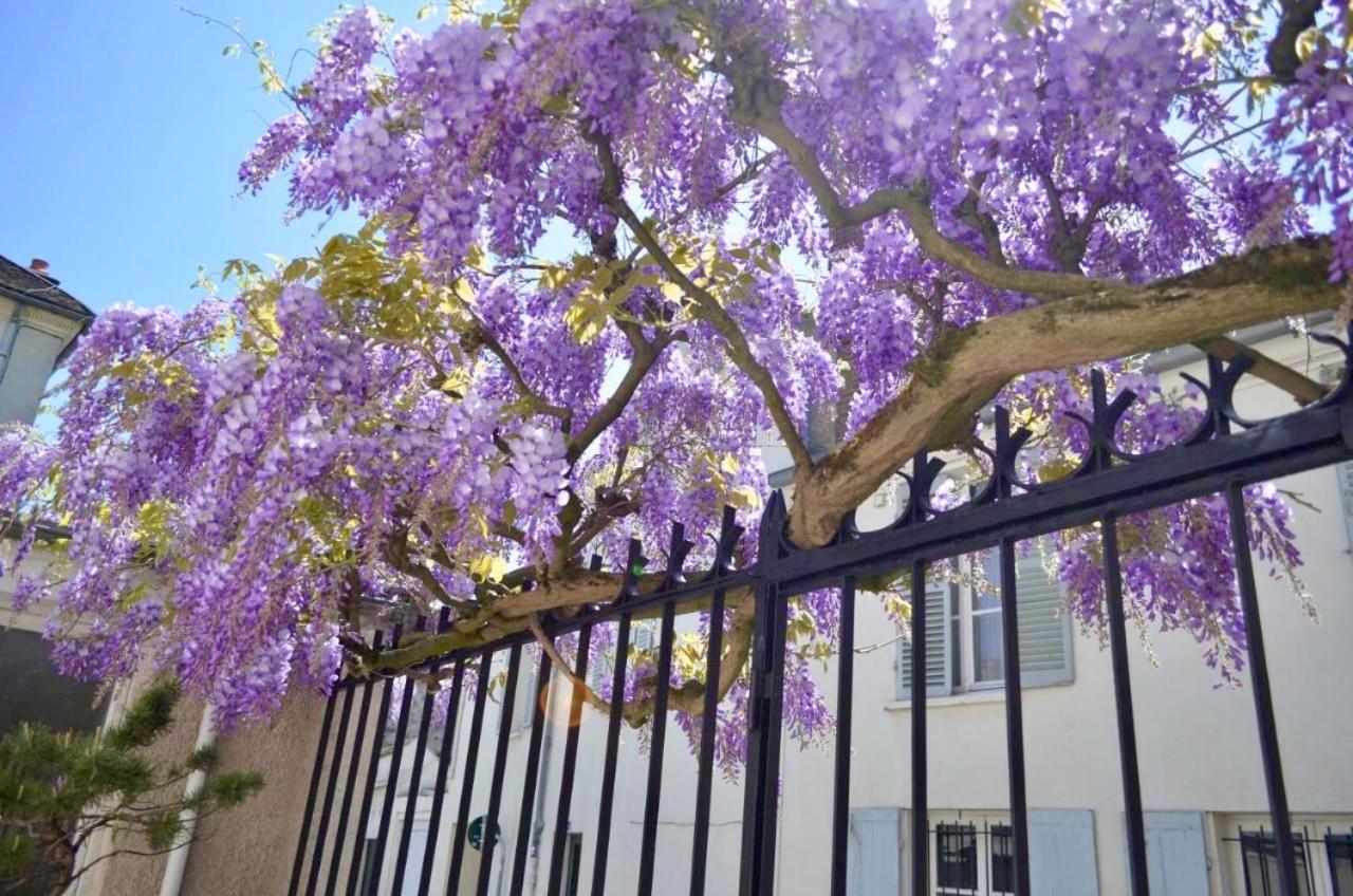 Wisteria Bed & Breakfast Fontainebleau Exterior photo