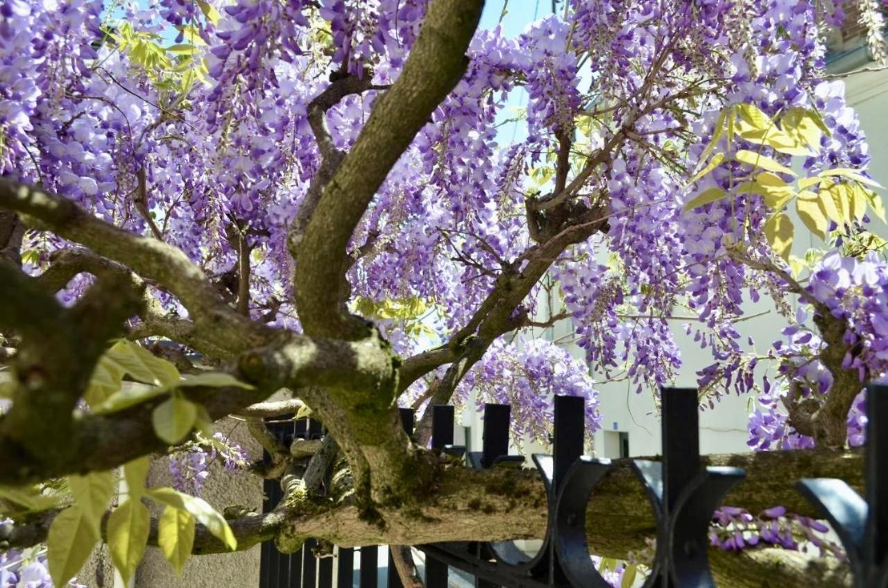 Wisteria Bed & Breakfast Fontainebleau Exterior photo